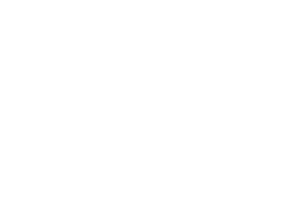 Logo California Limousines